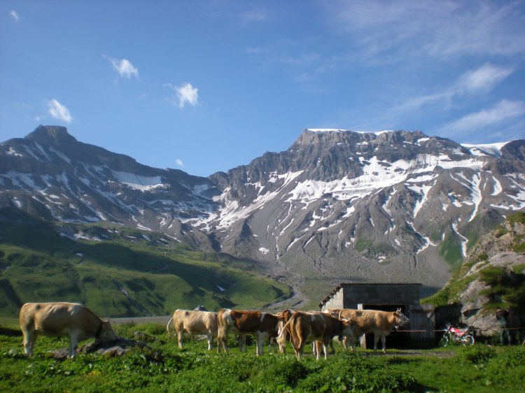 Does this look like farmland to you?