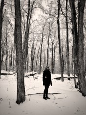 Morgan out for a stroll in the sugar bush.  We will start tapping in Spring of 2015.