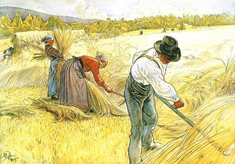 Carl-Larsson-Harvesting-The-Rye