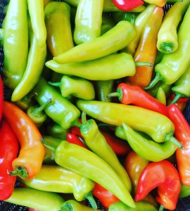 hot peppers