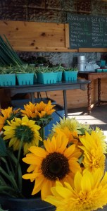 IMG_20170725_165105 copy