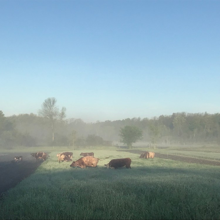 prmgza7zqkkc5l0m2kwsfq